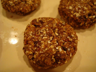 Up close of 5 Minute Raw Vegan Oatmeal Raisin Cookies