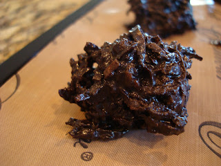Close up of Dark Chocolate Macaroons on dehydrator tray