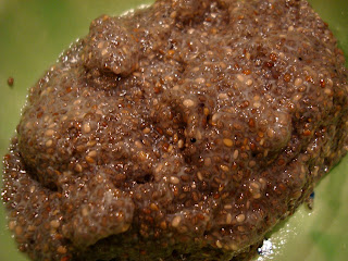 Close up of Raw Vegan Vanilla Chia Seed Pudding in green bowl