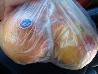 Two grapefruit in bag