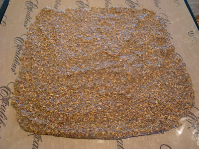 Seeds Only Crackers after coming out of dehydrator on tray