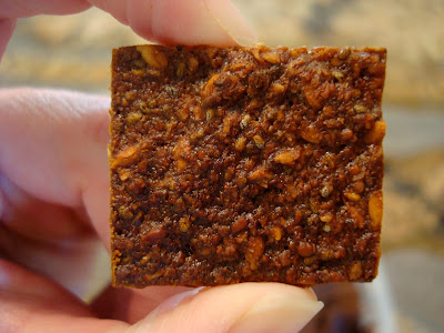 Hand holding one Vegan Sweet Seed Crackers