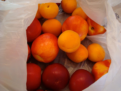 Peaches, nectarines, apricots and plums in bag