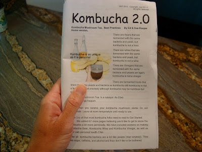 Book of Kombucha 2.0
