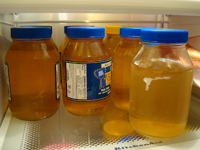 Multiple jars of Kombucha in refrigerator