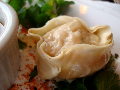 Close up of one Steamed Potsticker