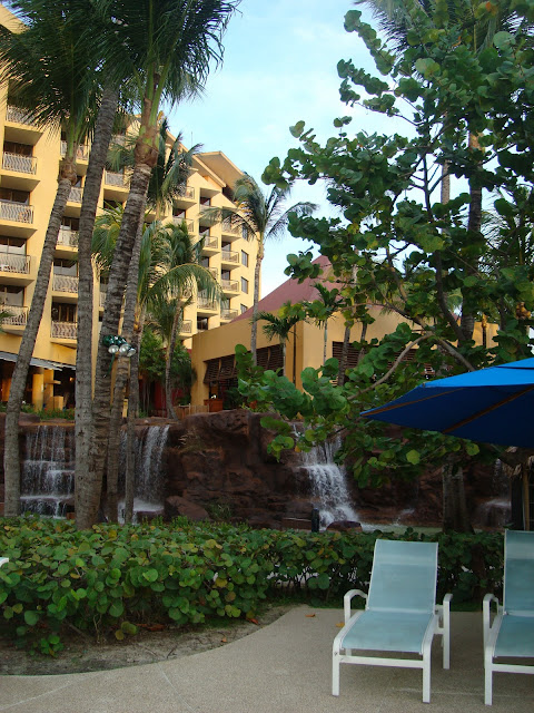 Outside hotel with palm trees and water figure