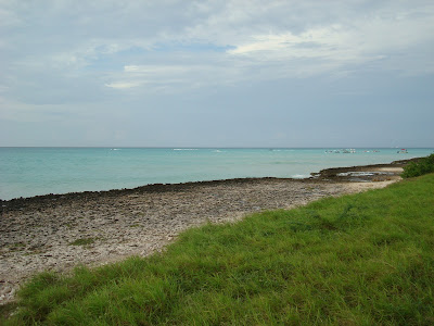 Ocean with beach and grass