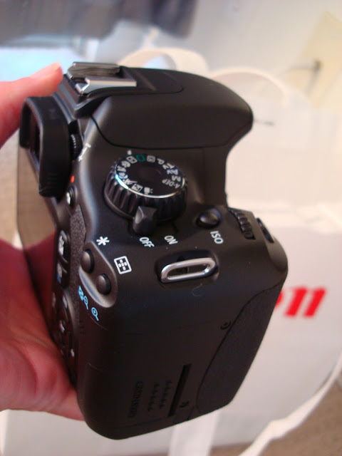Side view of camera showing buttons