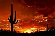 Tucson Az, Sunset