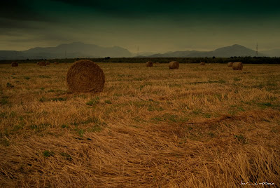 baloti_ de_ paie-straw_bales-balas_de_paja-Strohballen-δέματα άχυρου