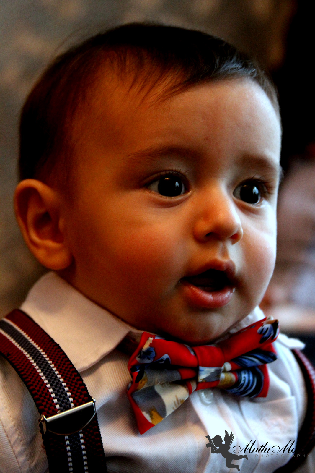 DüşlerDenizi / NiLaY Diş Buğdayı ILGAZ BeBeK