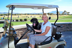 Our Lab Bo and Cathy