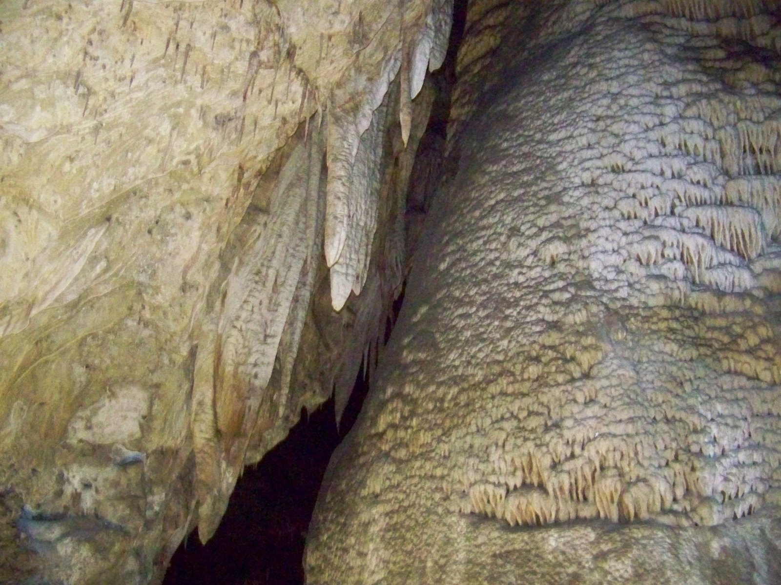 [May+24+2009+Carlsbad+Caverns+New+Mexico+333.jpg]