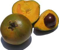 Fruta chilena Fruta Chilena