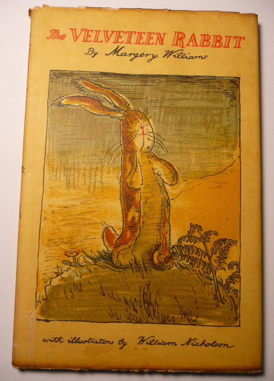 Velveteen rabbit meaning image