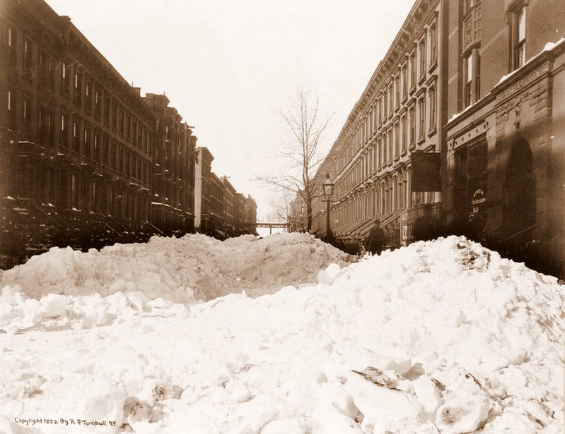 Divinipotent Daily Bleeping Blizzards!