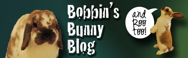 Bobbin's Bunny Blog