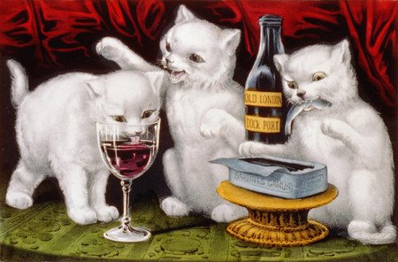 [cats+wine.jpg]