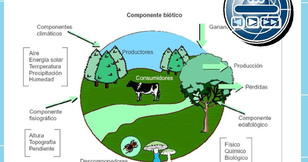 Brainly componentes quais natureza bons estudos
