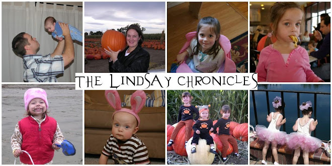 The Lindsay Chronicles