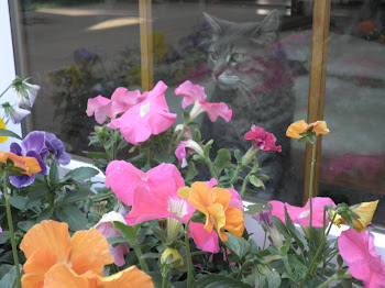 "Cats and flowers.  I hope my heaven has lots of both." LH
