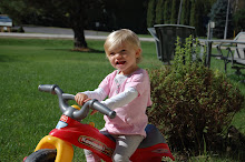 16 Months Old