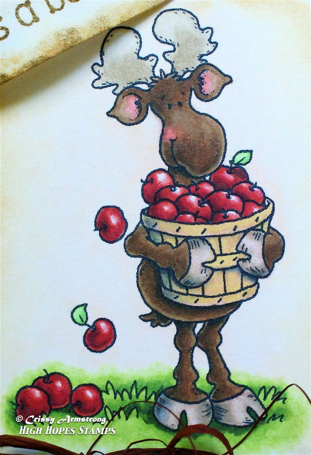 [Mudzie+closeupwtmk.JPG]