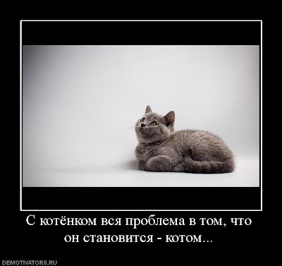 http://4.bp.blogspot.com/_LgmJBoD0CMM/SliDDW30iiI/AAAAAAAAAjU/CJ-lwpoV5qM/s400/3.jpg