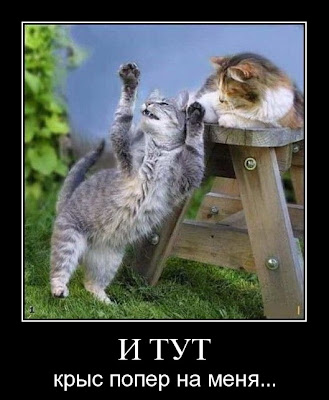 http://4.bp.blogspot.com/_LgmJBoD0CMM/SliDaFj11eI/AAAAAAAAAj0/RAkxIX4Jeko/s400/1.jpg