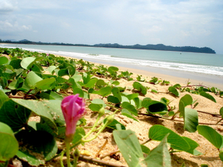 [DSC03726.jpg]