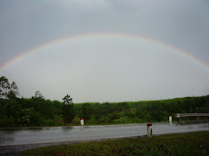 Rainbow Over DMZ