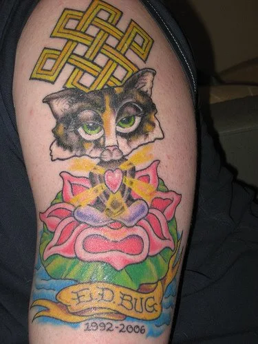 cat tattoo in memory of a cat companion