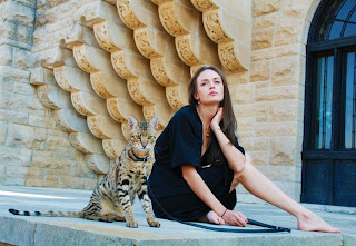 F2 Savannah and model