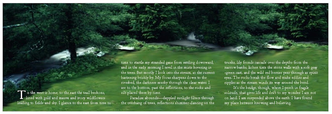 stream & musing