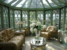 MY CONSERVATORY