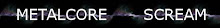  BANNER