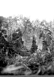 Cottingley by Alison Littlewood Cottingley by Alison Littlewood