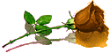 [user67_pic1835_12208p88535_thumb.gif]