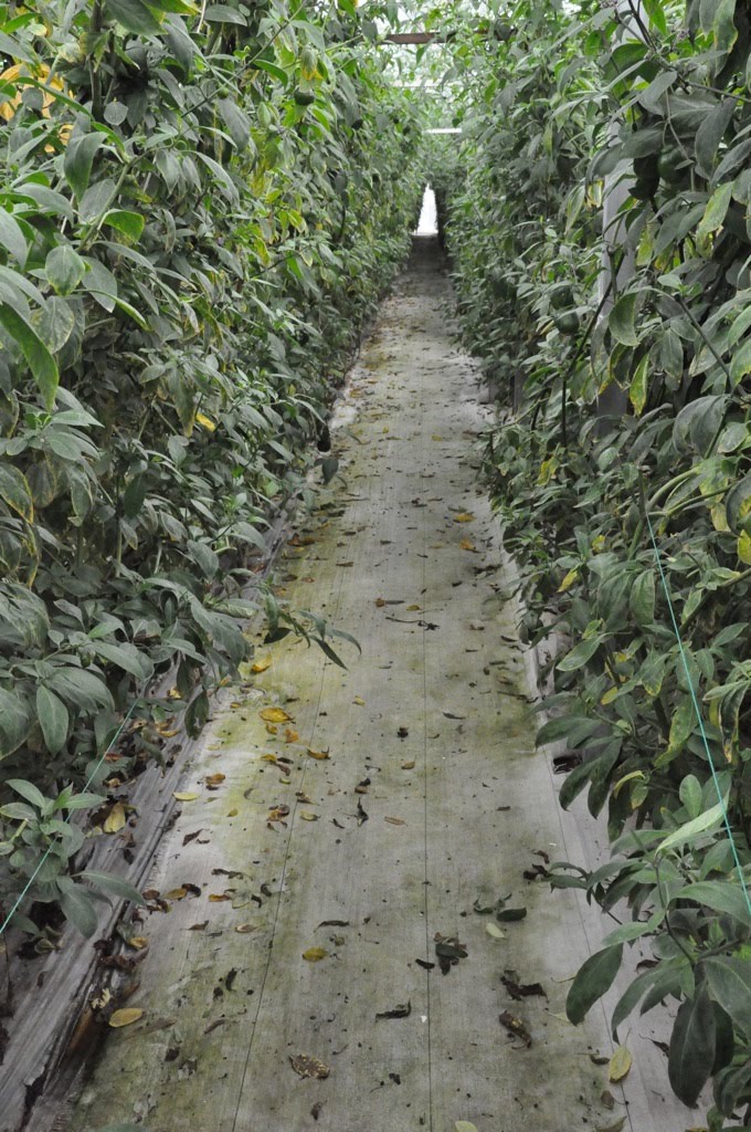 Paisaje Social: February 2010