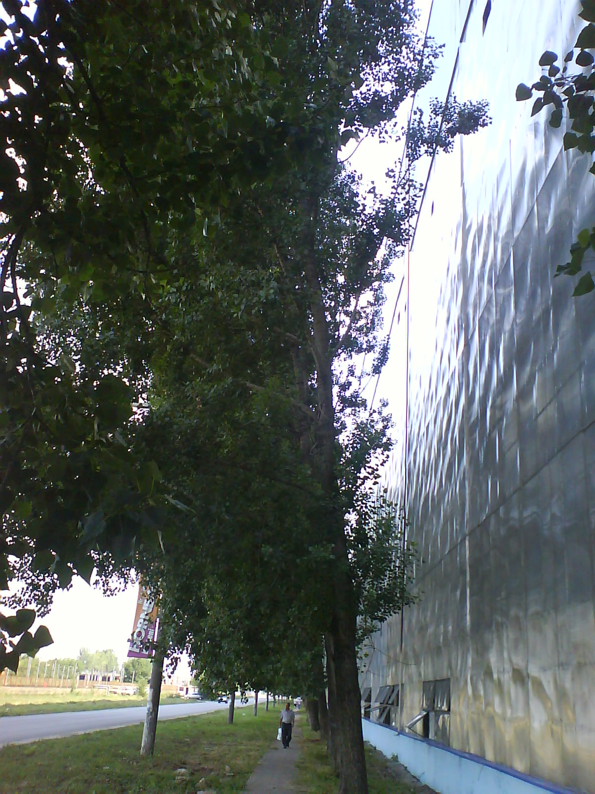 [DSC06117.JPG]