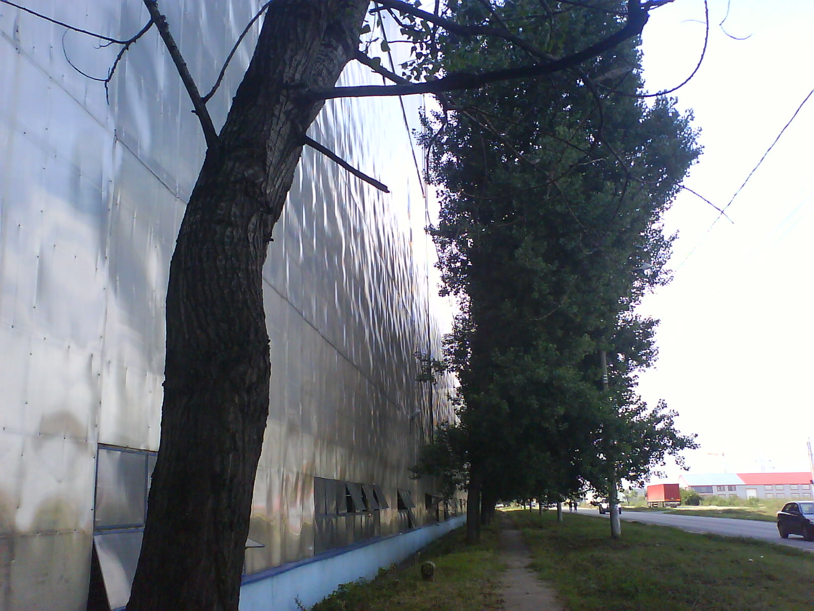 [DSC06118.JPG]