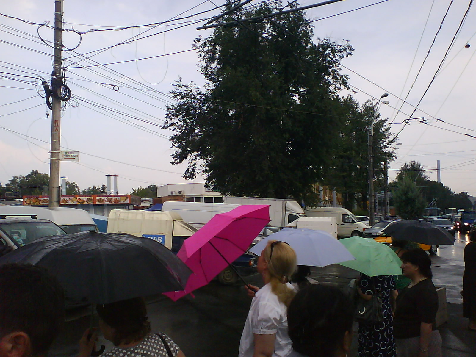 [DSC06142.JPG]