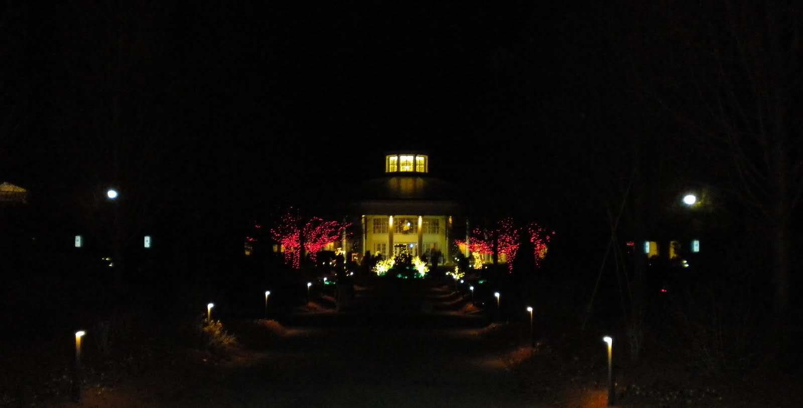 Sherri's Jubilee: Daniel Stowe Botanical Garden with Christmas Lights!