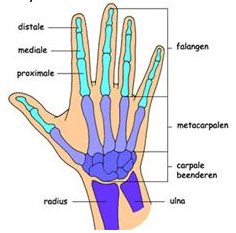 [hand.jpg]