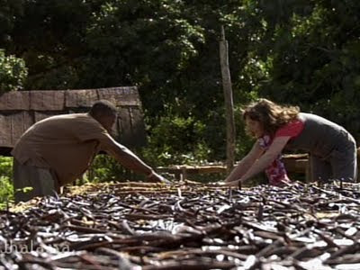 Rencontre madagascar tananarive