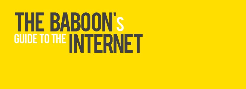 The baboon's guide to the internet