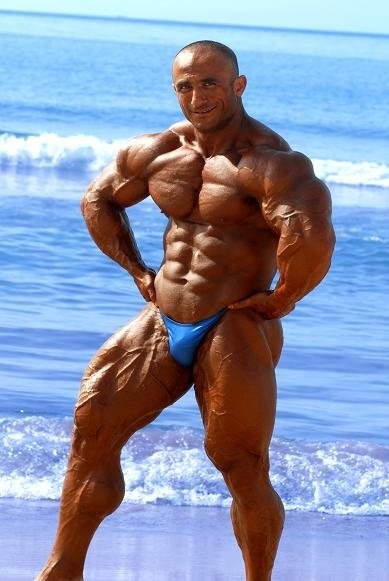 Tarek Elsetouhi