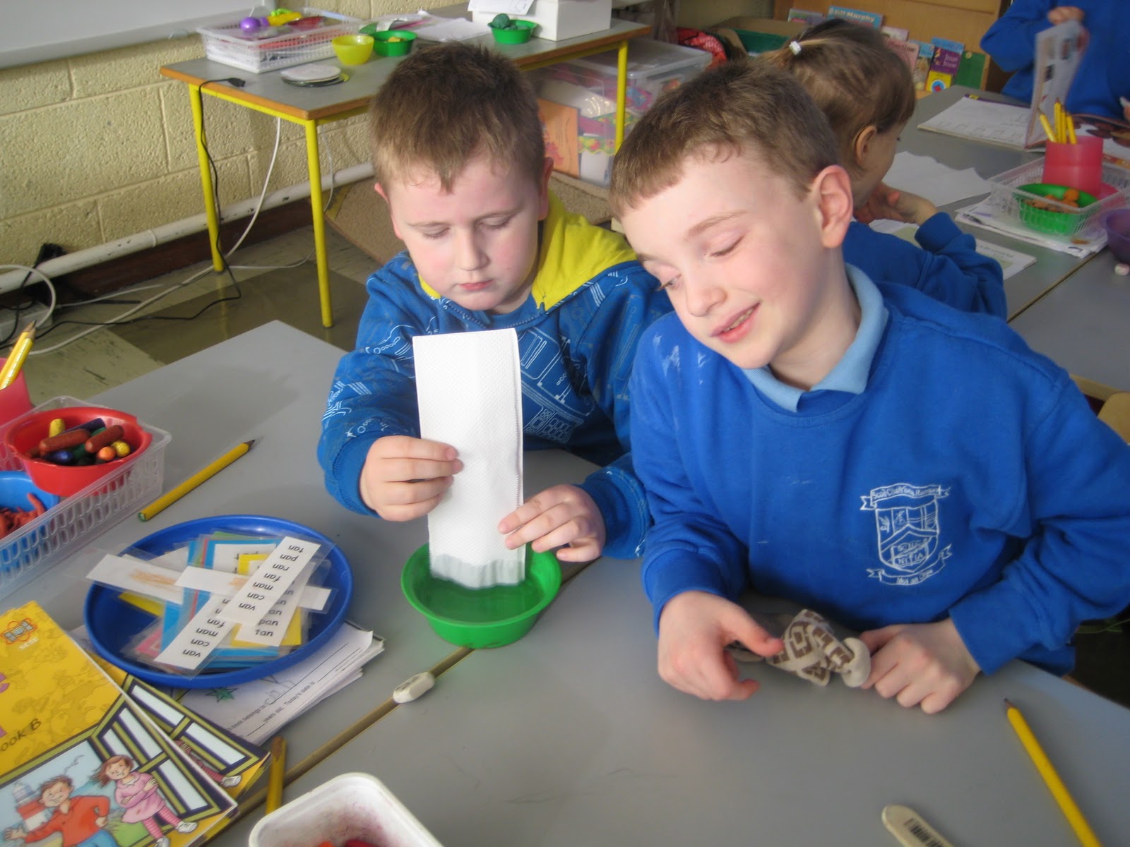 Science Projects Materials that absorb water Senior Infants