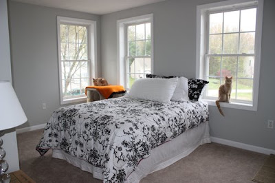 True Neutral Gray Paint Pls Help Here Is A Link That Might Be Useful